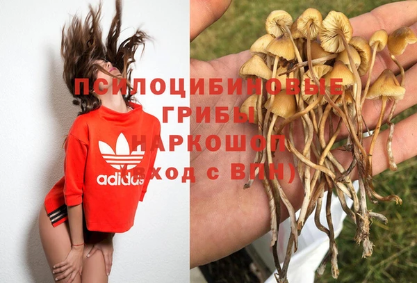 дурь Абаза